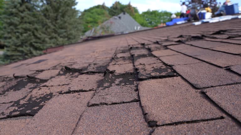 Best Roofing for New Construction  in Devola, OH