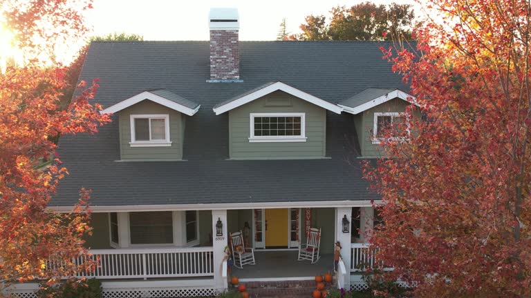 Best Roof Moss and Algae Removal  in Devola, OH