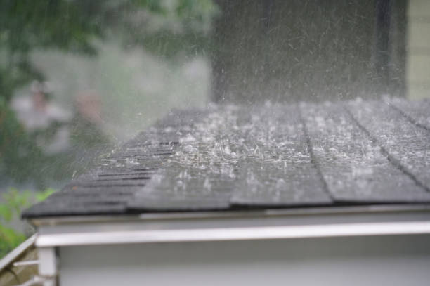 Best Solar Panel Roofing Installation  in Devola, OH