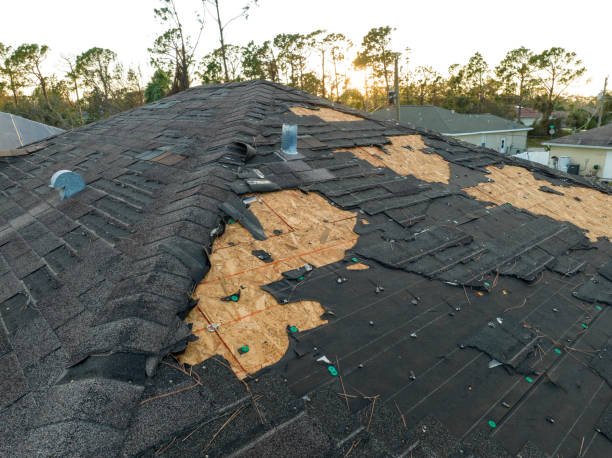 Best Slate Roofing  in Devola, OH