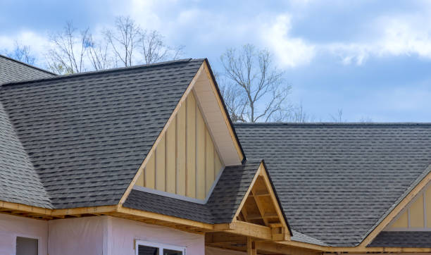 Best Sheet Metal Roofing  in Devola, OH