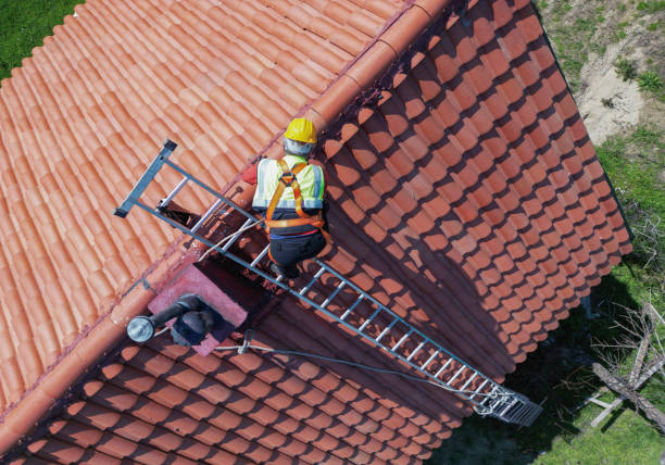 Best Green or Eco-Friendly Roofing Solutions  in Devola, OH