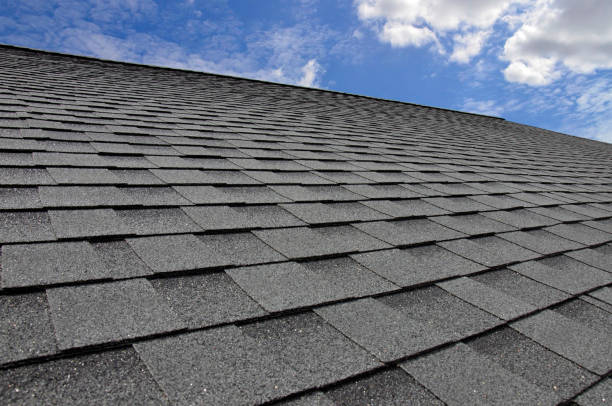Best Roof Coating and Sealing  in Devola, OH